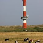 Neuer Leuchtturm Wangerooge