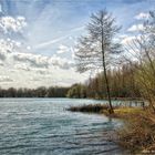 neuer Niersee Viersen, am linken Niederrhein ....