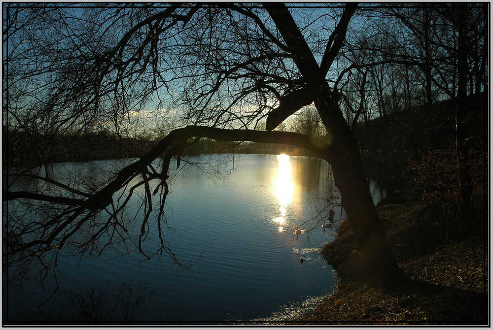 Neuer See in Wernau