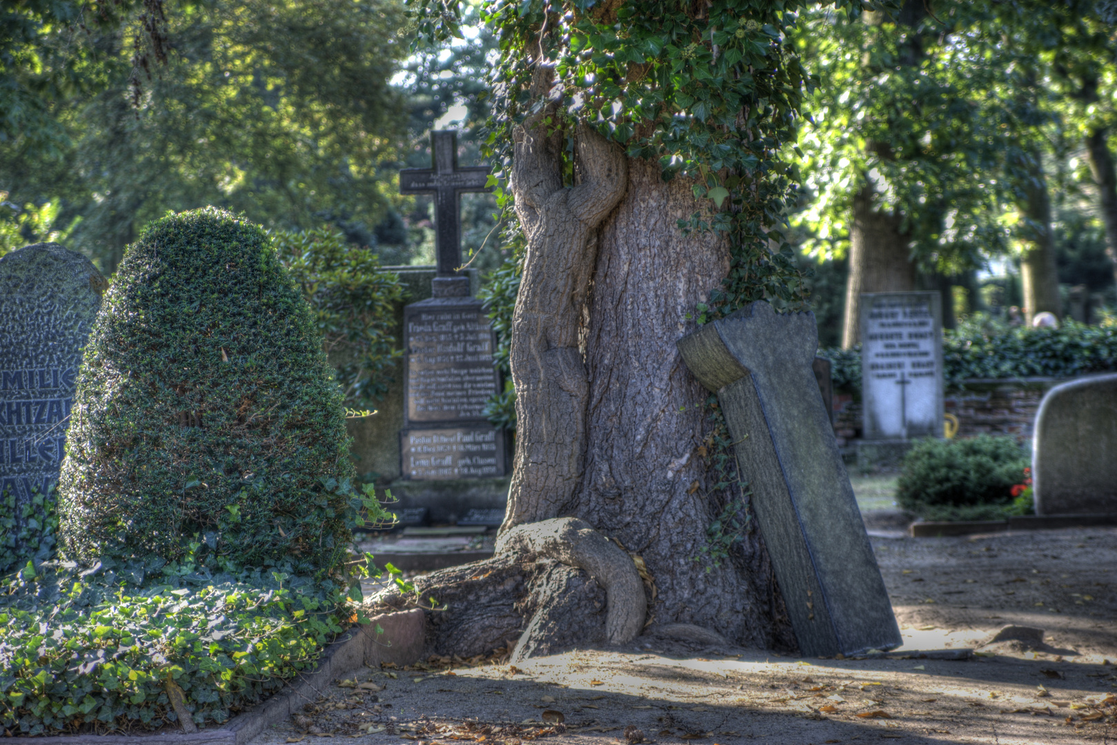 Neuer St. Nikolai Friedhof in Hannover (An der Strangriede)