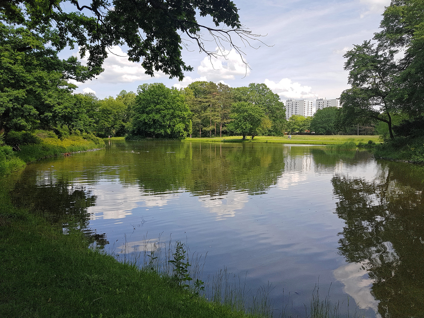 Neuer Teich Großer Garten Dresden