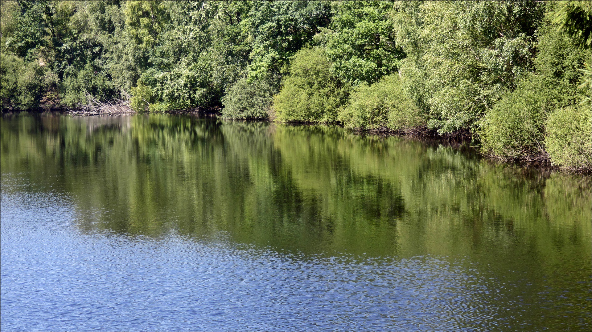 Neuer Teich im Solling (2) Foto & Bild natur, landschaft, teich
