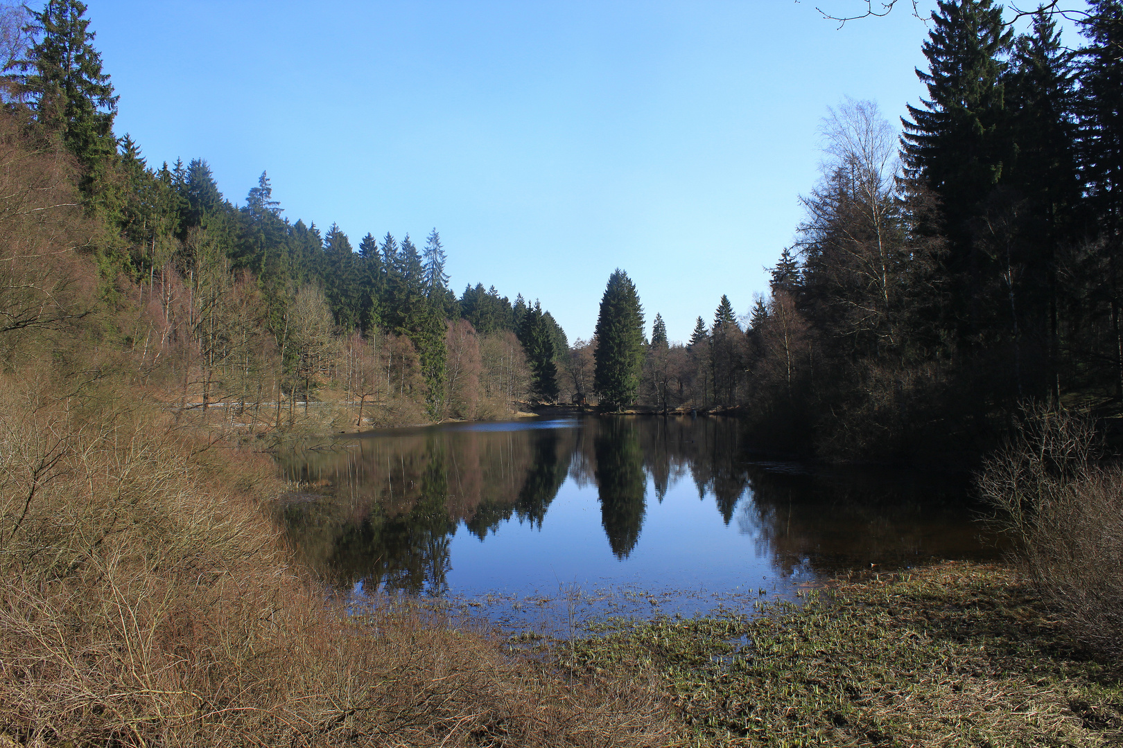 Neuer Teich im Solling Foto & Bild landschaft, wald, uslarerland