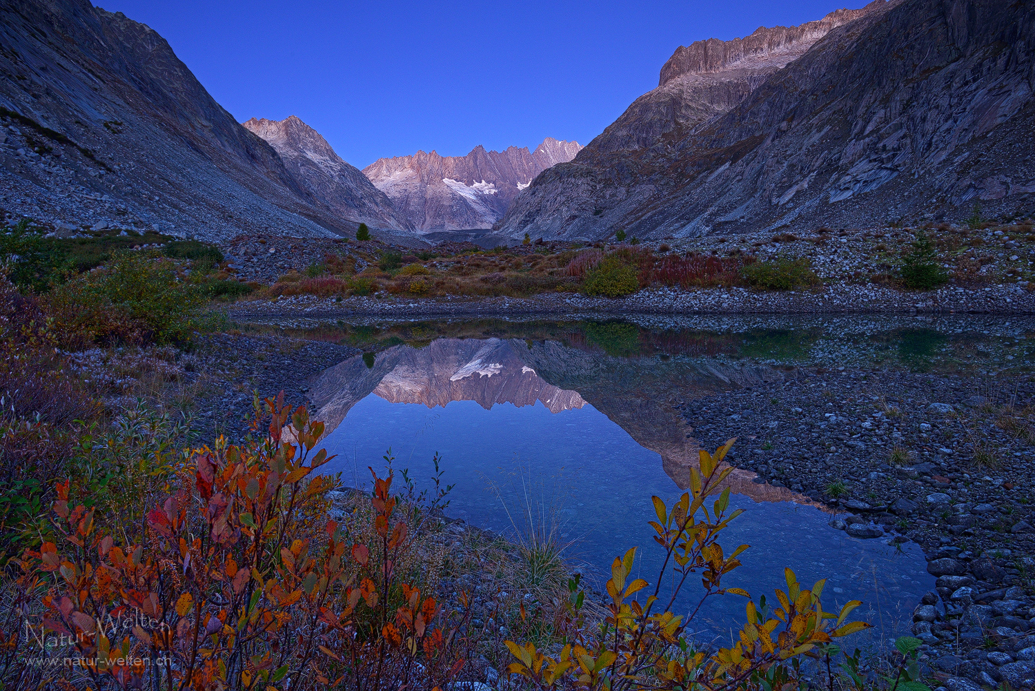 Neuer Versuch, neues Glück Foto & Bild world, natur, herbst Bilder