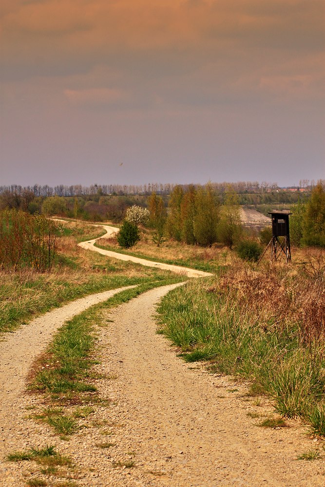 Neuer Weg