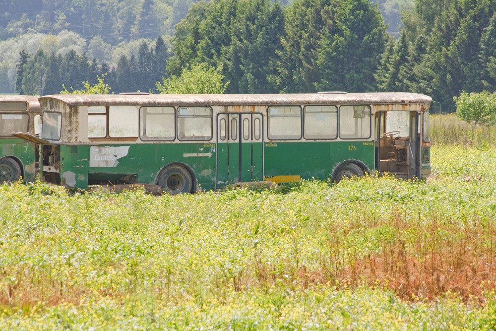 Neuerer Schweinebus