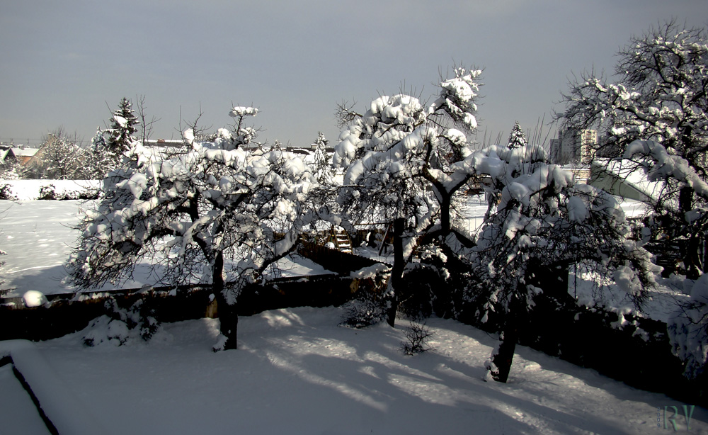 Neuerlich Schneefall in St.Pölten