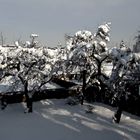 Neuerlich Schneefall in St.Pölten