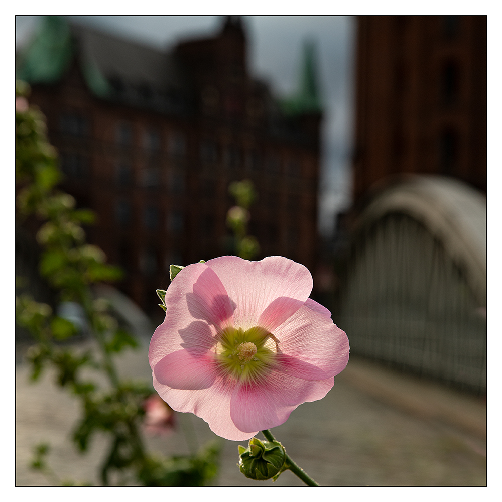 Neuerwegsbrücke...