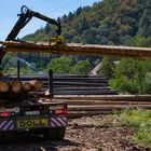 Neues Alt-Holz wird angeliefert