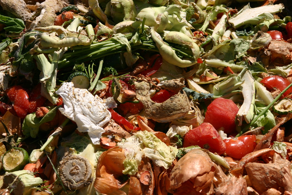 "Neues" aus der Biotonne von tanager 