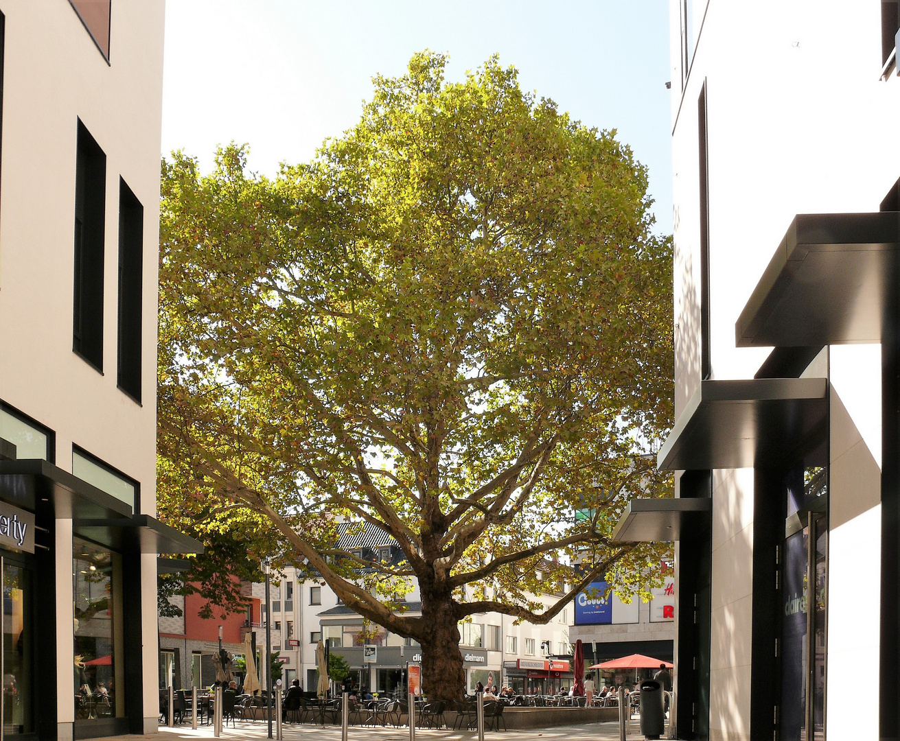 Neues Hanau: Forum