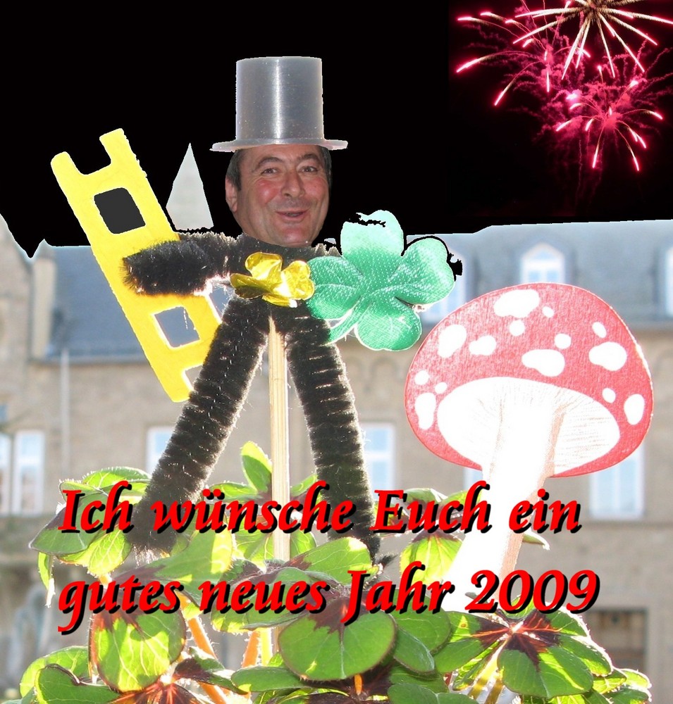 Neues Jahr 2009