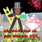 Neues Jahr 2009