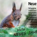 Neues Jahr