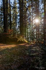 neues Jahr - neue Wege