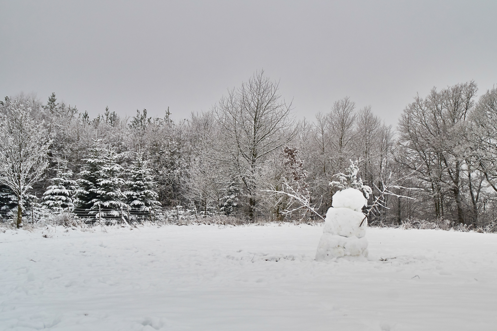 Neues Jahr, neuer Schnee