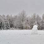 Neues Jahr, neuer Schnee