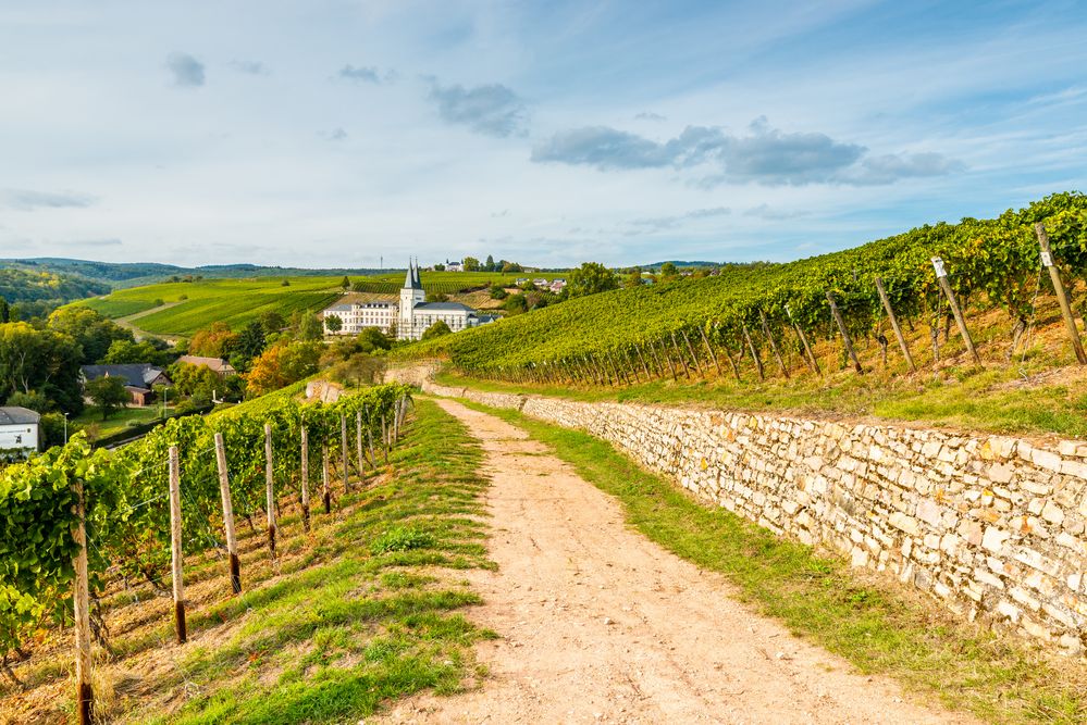 Neues Kloster Johannisberg 01