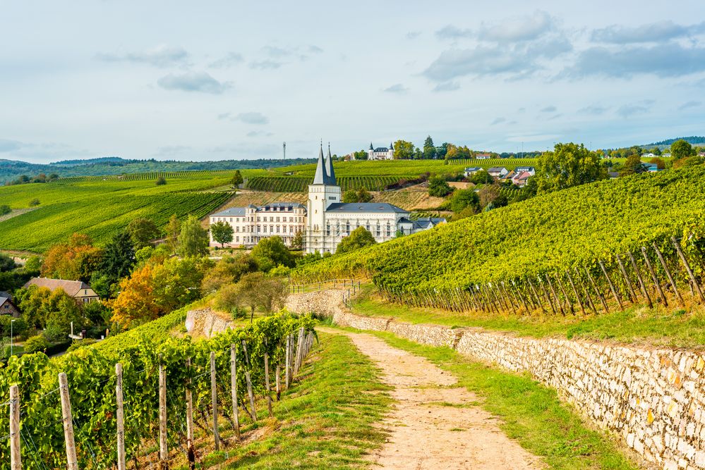 Neues Kloster Johannisberg 89