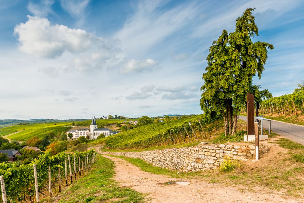 Neues Kloster Johannisberg 93