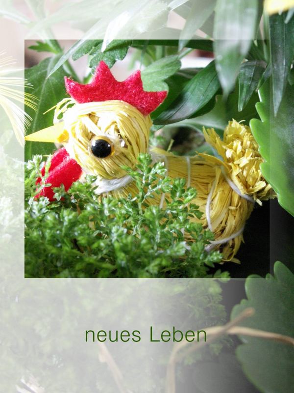 neues Leben