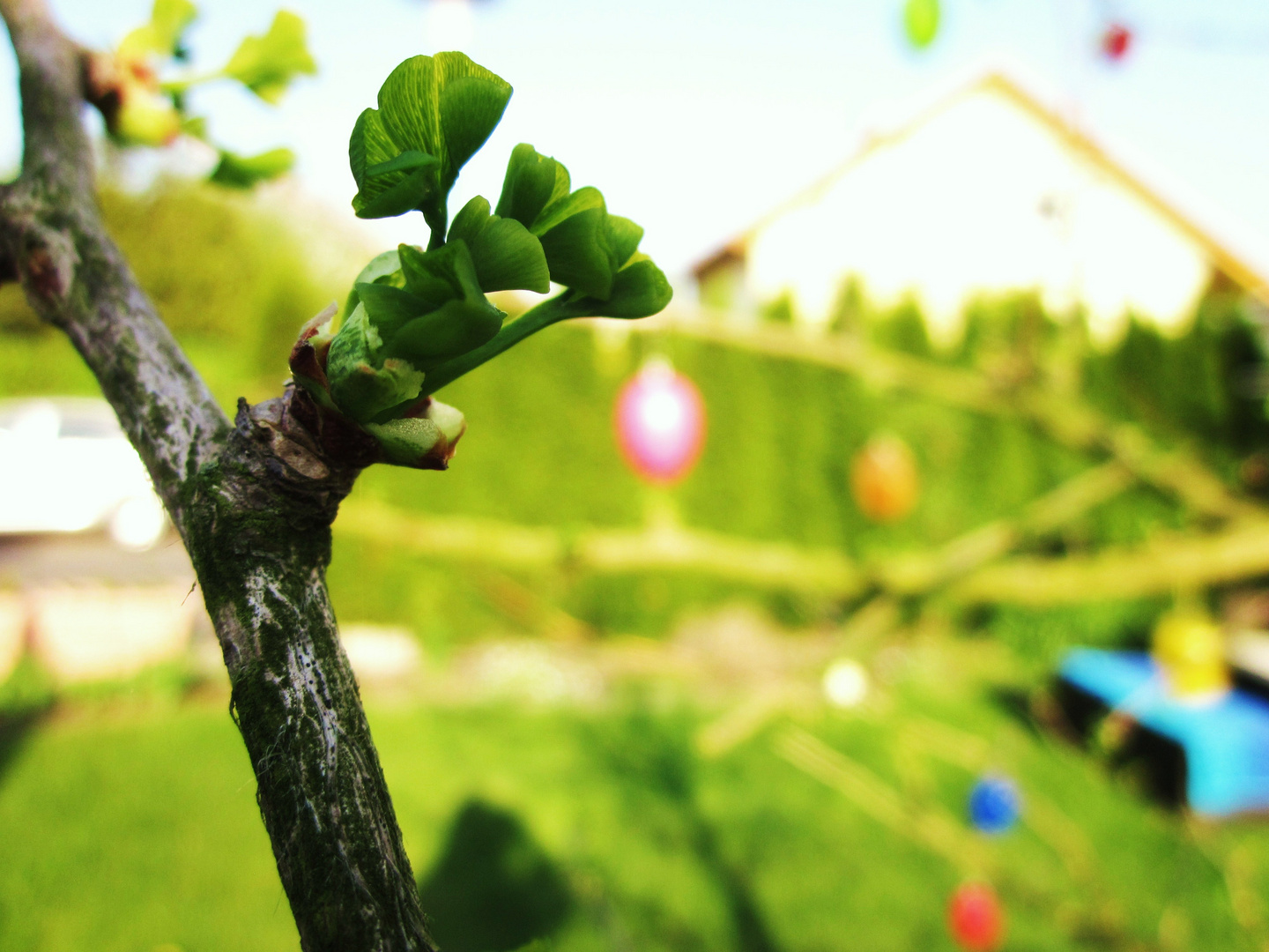 Neues Leben im Frühling