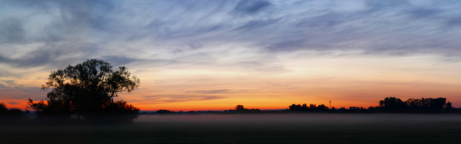 Neues Panorama _ Frühaufsteher_ Hergershäuser Wiesen