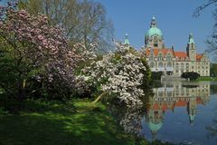 neues Rathaus