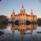 Neues Rathaus Hannover - gespiegelt