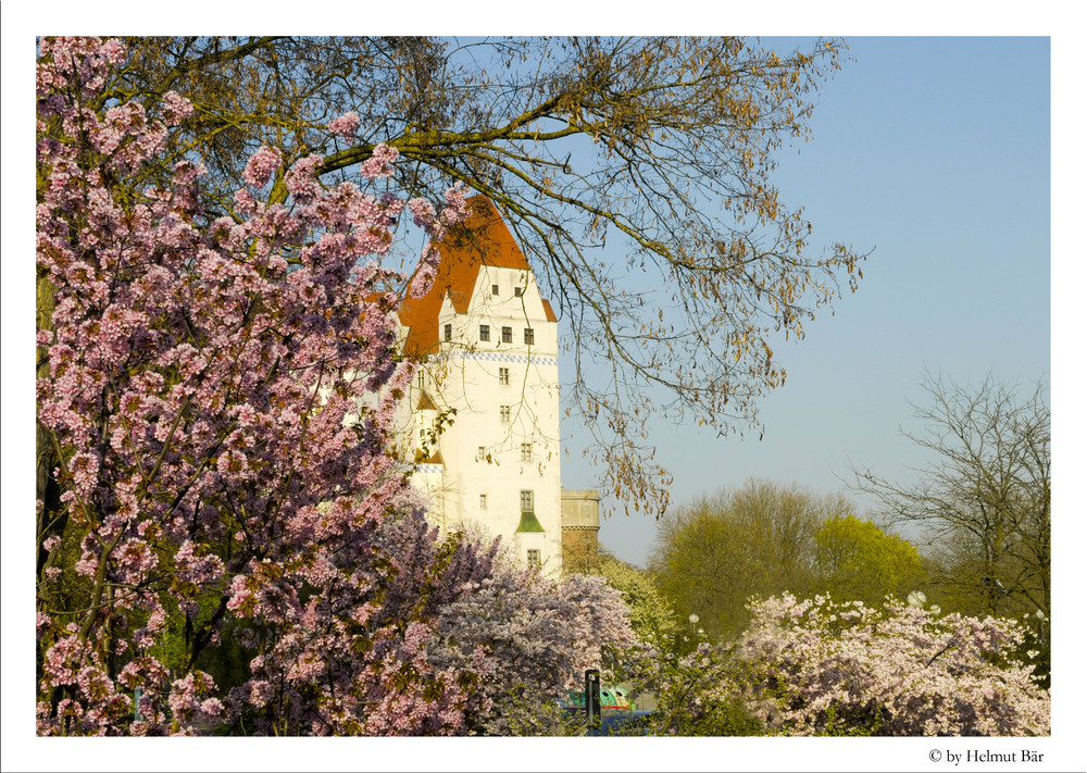 Neues Schloss in Ingolstadt