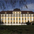 Neues Schloss in Tettnang