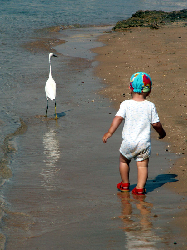 Neues Strandspiel