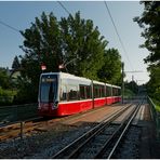 Neues und Altes in Wien LXXI