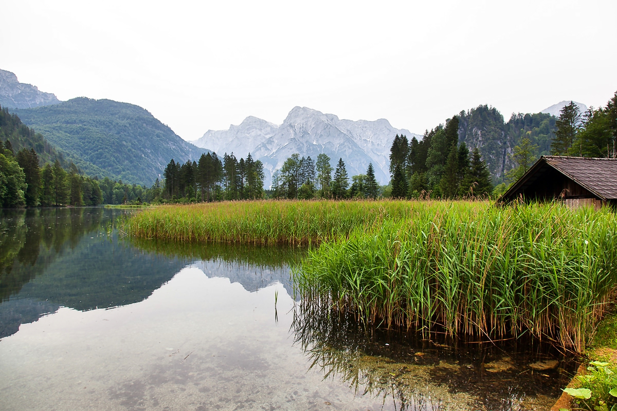 Neues vom Almsee II