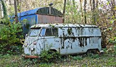 Neues vom Bulli (04.11.2025)