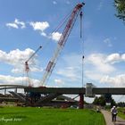 Neues von der Waldschlösschenbrücke August VIII