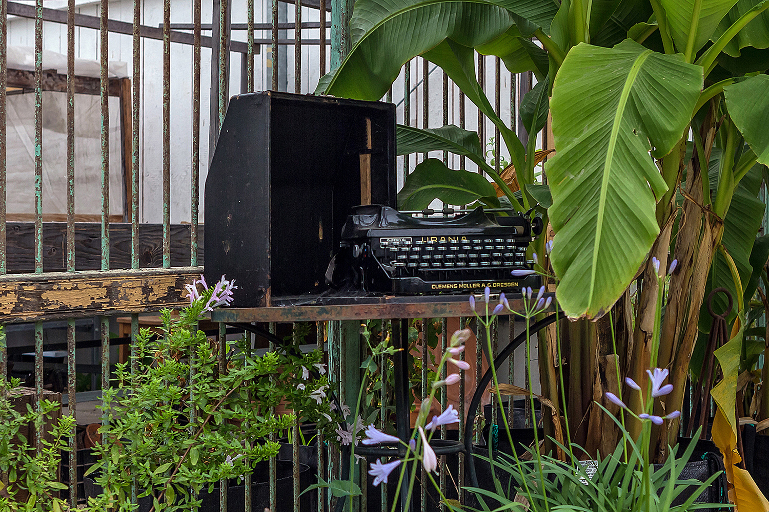 Neueste Bürotechnik! Das Büro im Grünen!