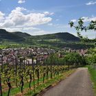 Neuffen, vom unteren Hang des Hohenneuffen-Weinbergs