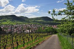 Neuffen, vom unteren Hang des Hohenneuffen-Weinbergs