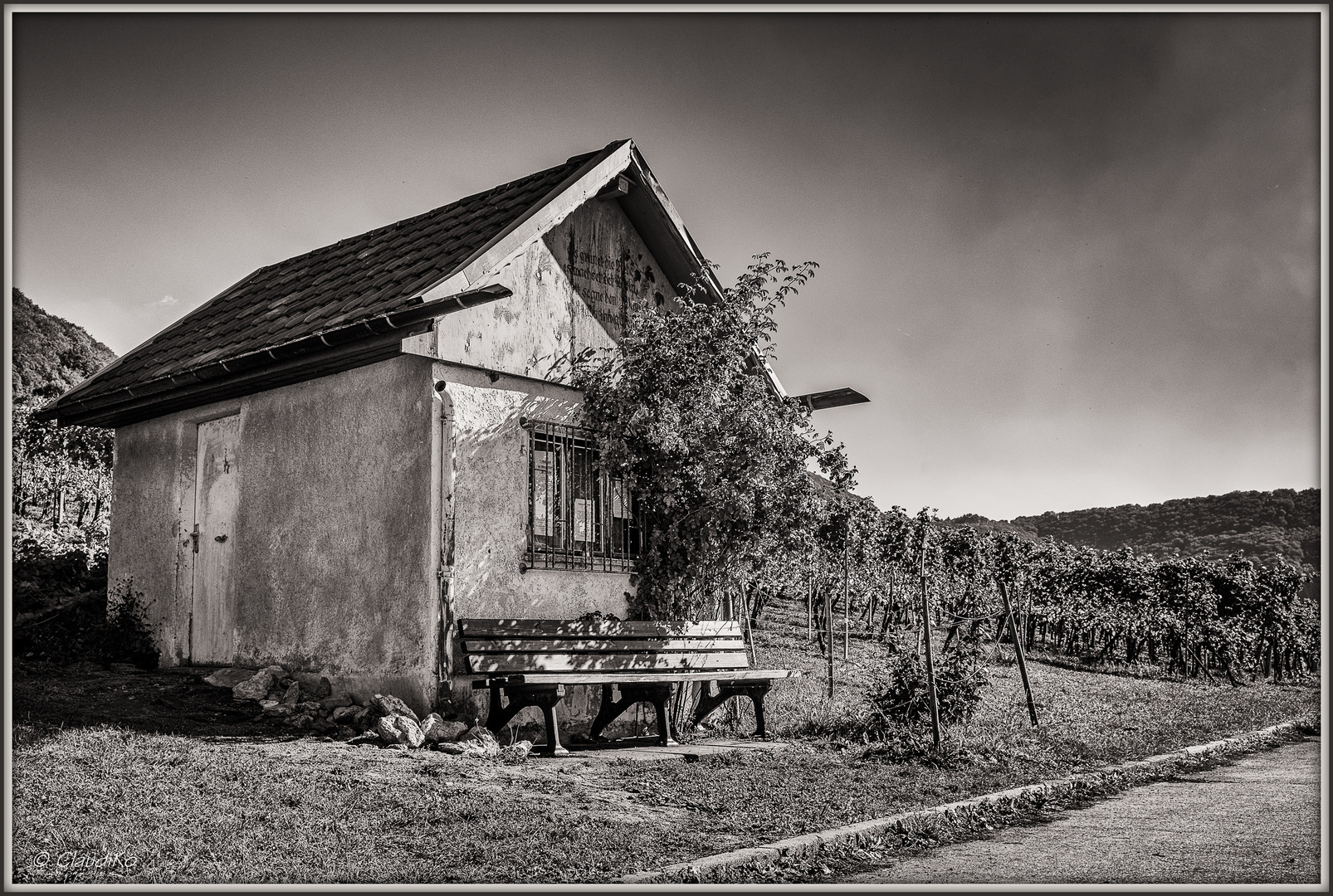 Neuffener Weinberge in s/w