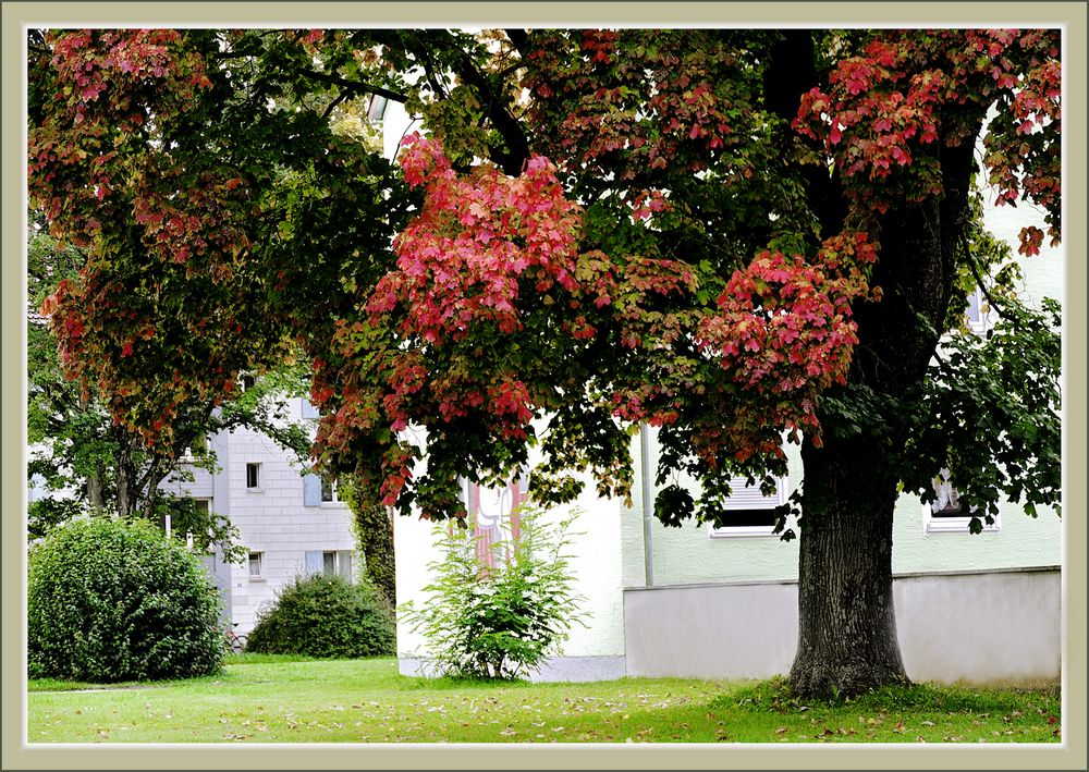 Neugablonzer Baum 