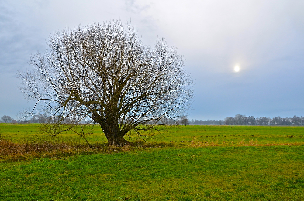 Neugeburt im Zeichen des Steinbock