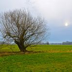 Neugeburt im Zeichen des Steinbock