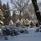 Neugersdorfer Waldfriedhof