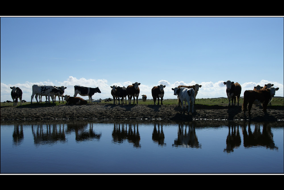 Neugier im Spiegelung