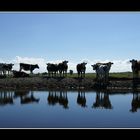 Neugier im Spiegelung