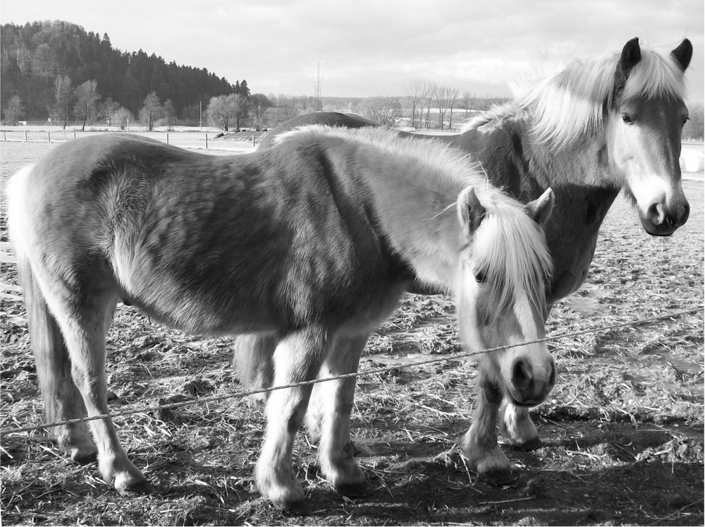 --- Neugierde ---