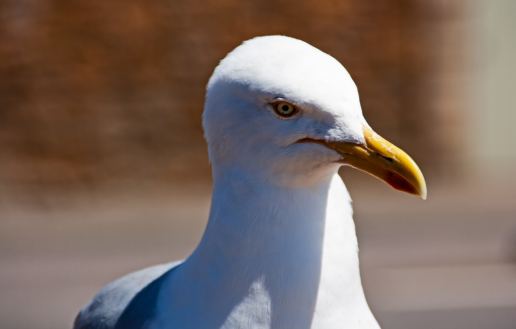 Neugierde