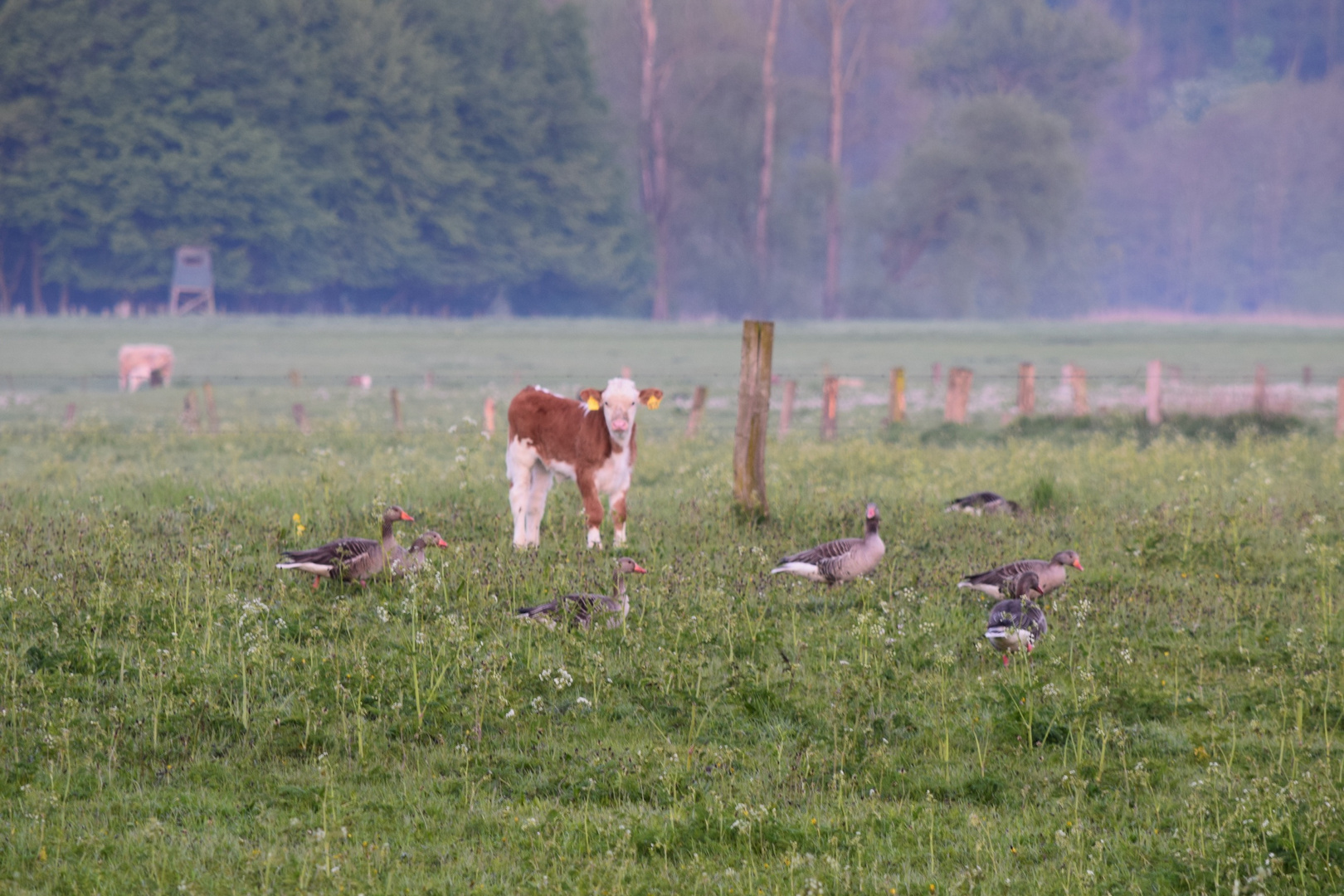 Neugierde